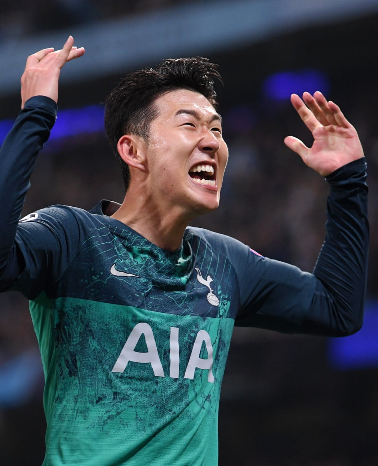 Tottenham Hotspur Drittes Trikot 2018/2019