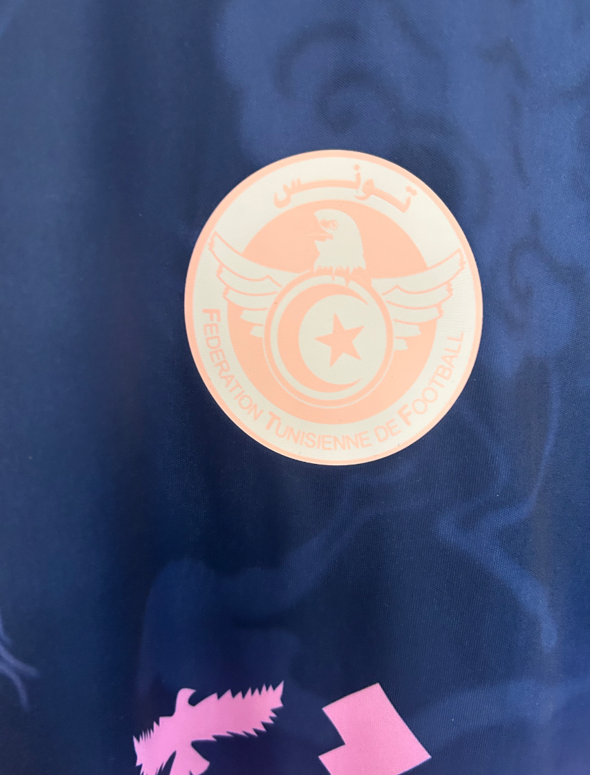 Camiseta de los Águilas de Cartago de Túnez rosa y azul