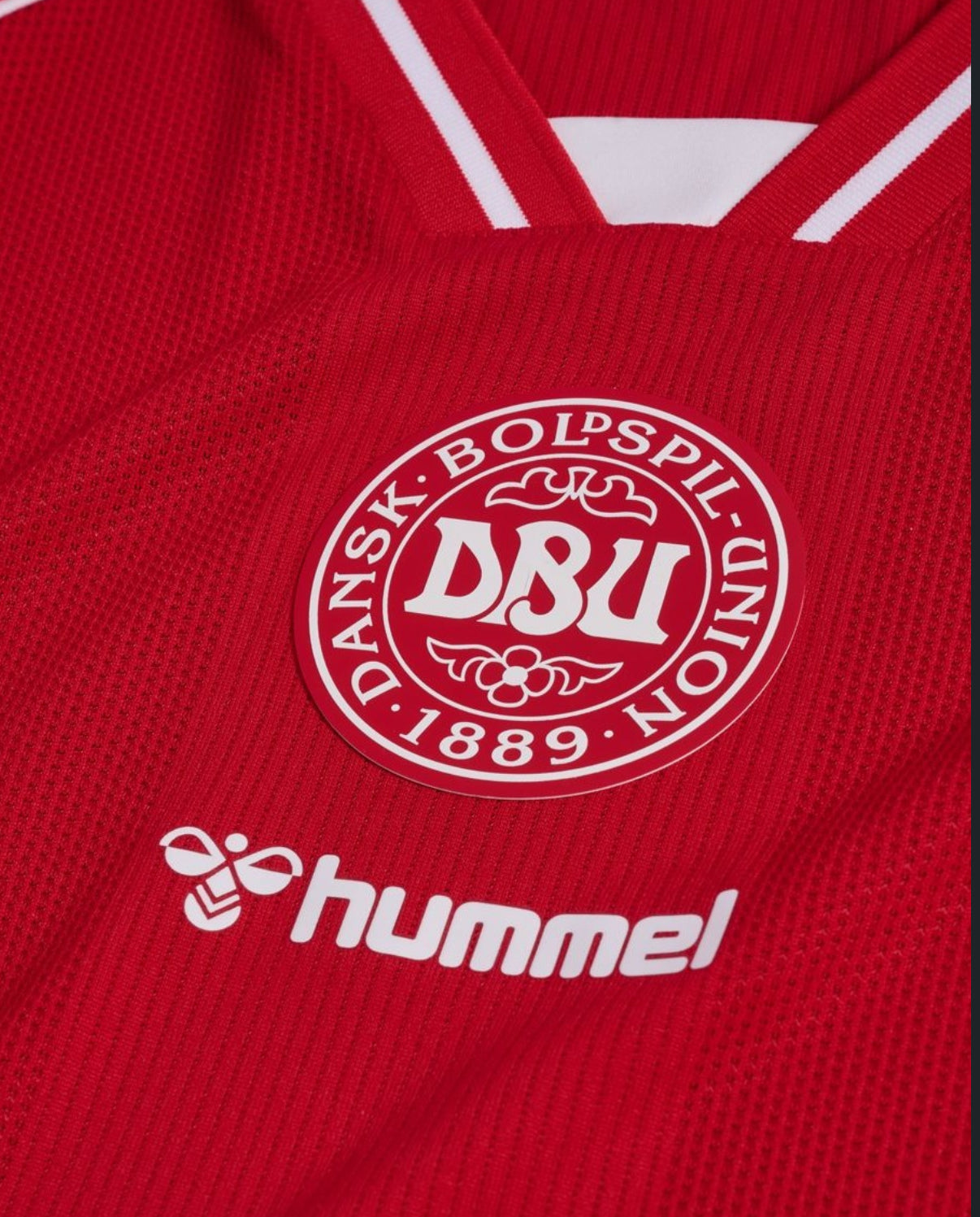 Danimarca Maglia Coppa del Mondo 2026