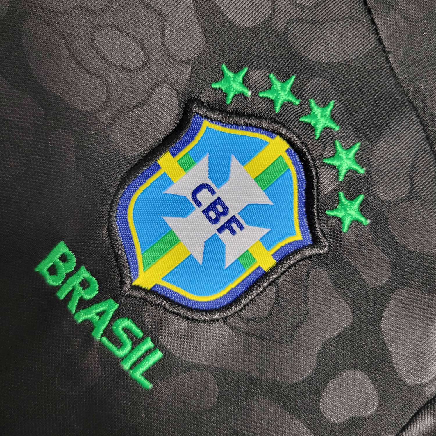 Brazilië Zwarte Luipaard