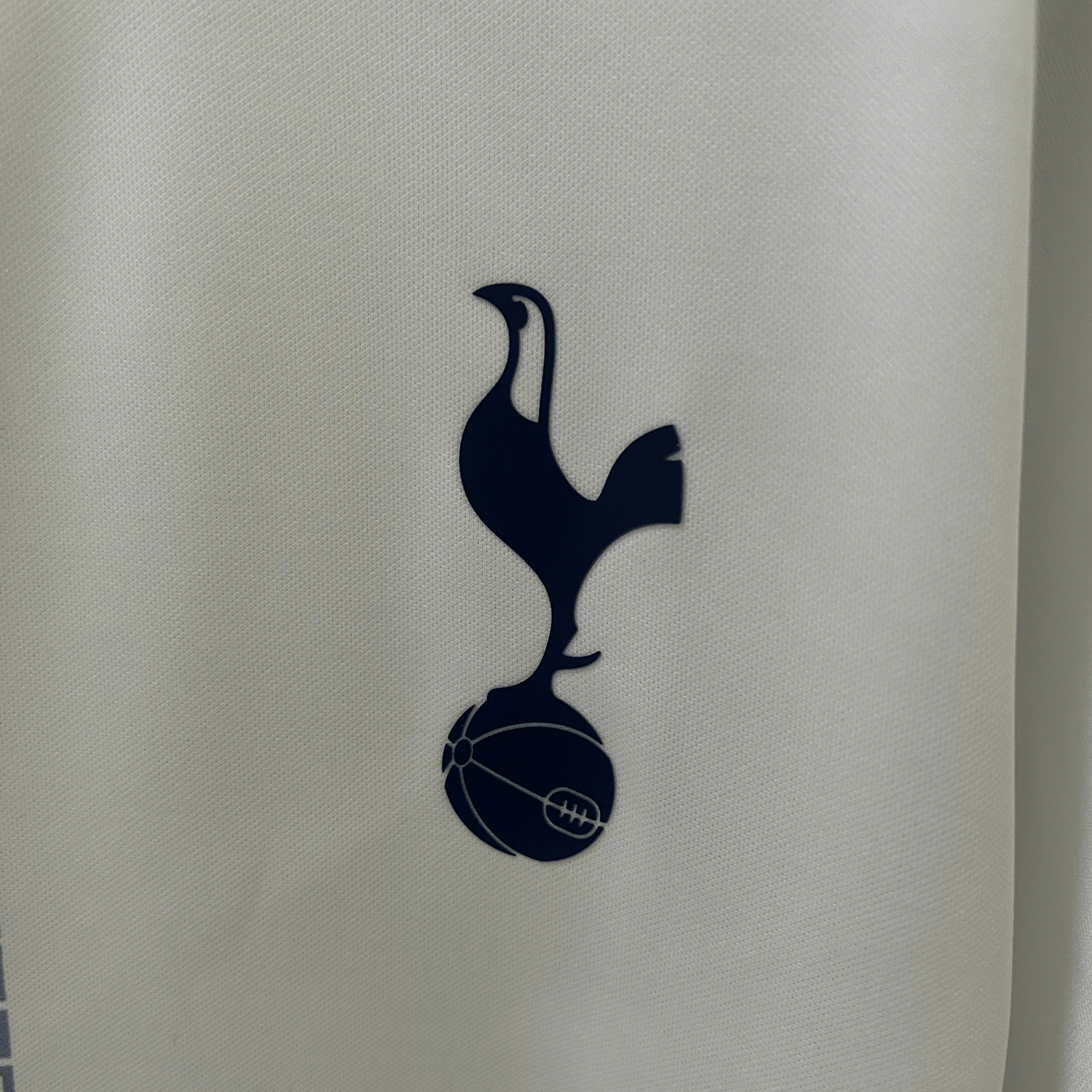 Tottenham Camiseta edición especial Serpiente